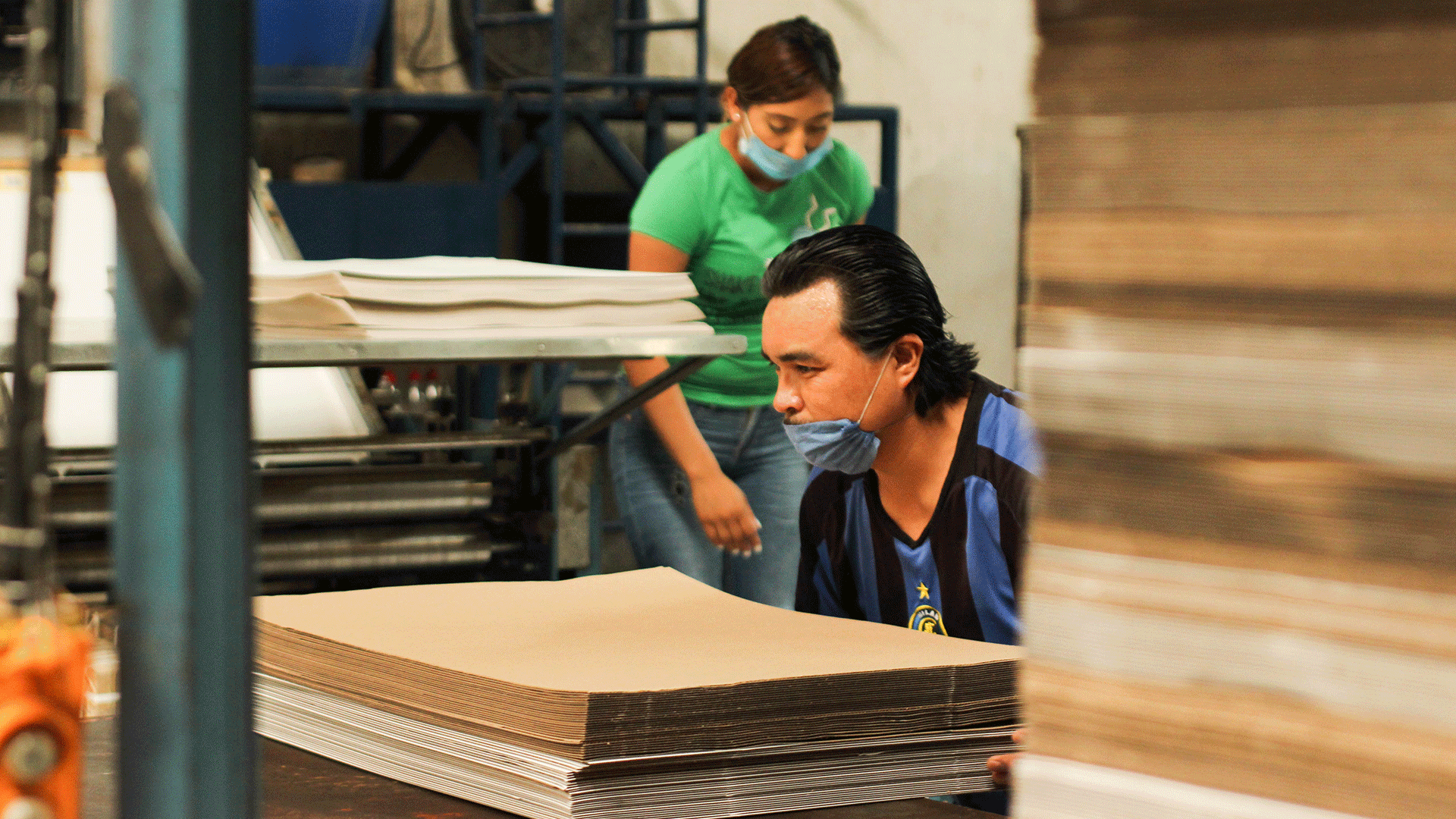 PLANTA PRODUCTORA